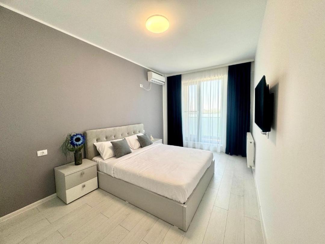 C&y Solid * Mamaia