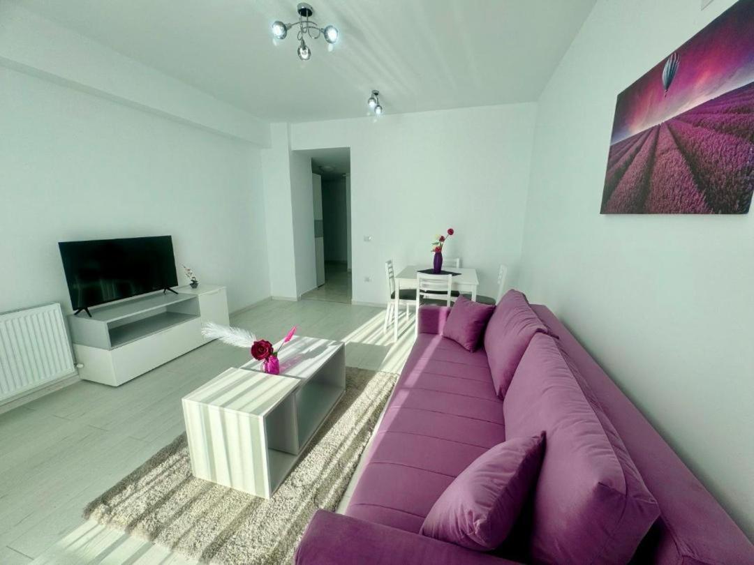 Apartment C&y Solid