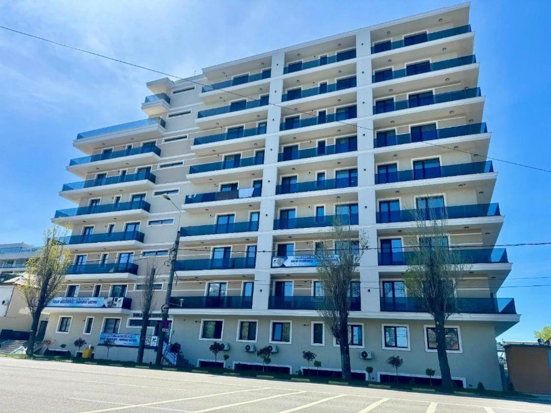C&y Solid Mamaia