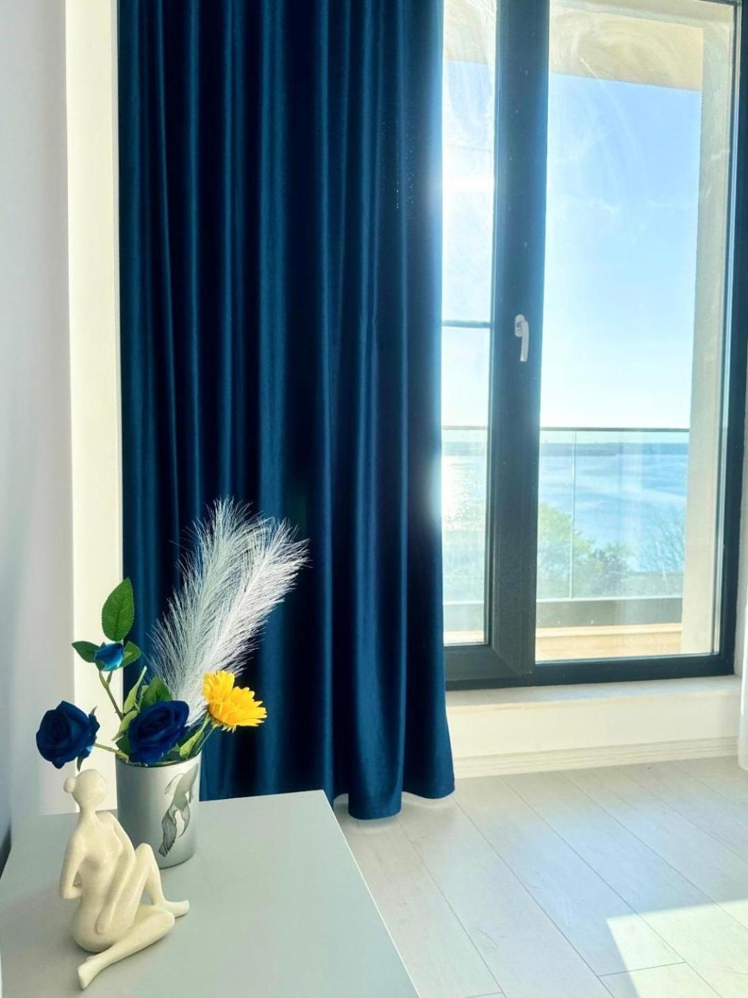 Apartment C&y Solid