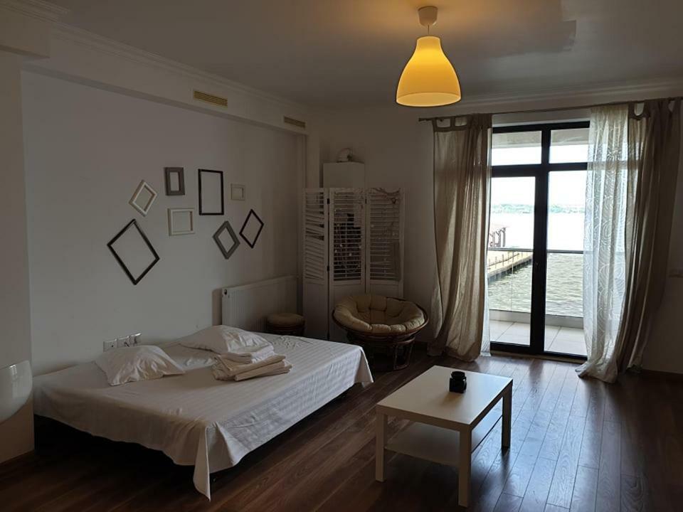 C&y Solid * Mamaia